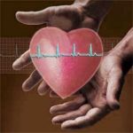 Программа поддержки сердца и сосудов Ритм сердца